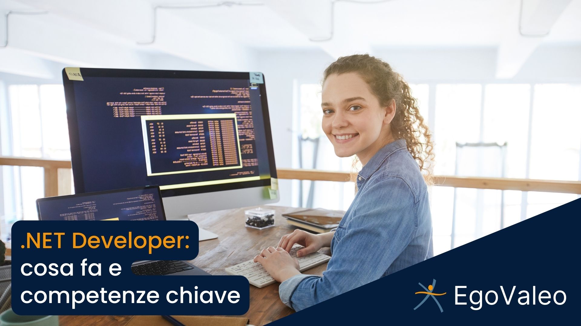 .NET Developer: cosa fa e competenze chiave