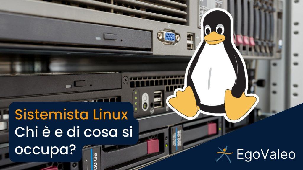 sistemista linux: cosa fa e competenze