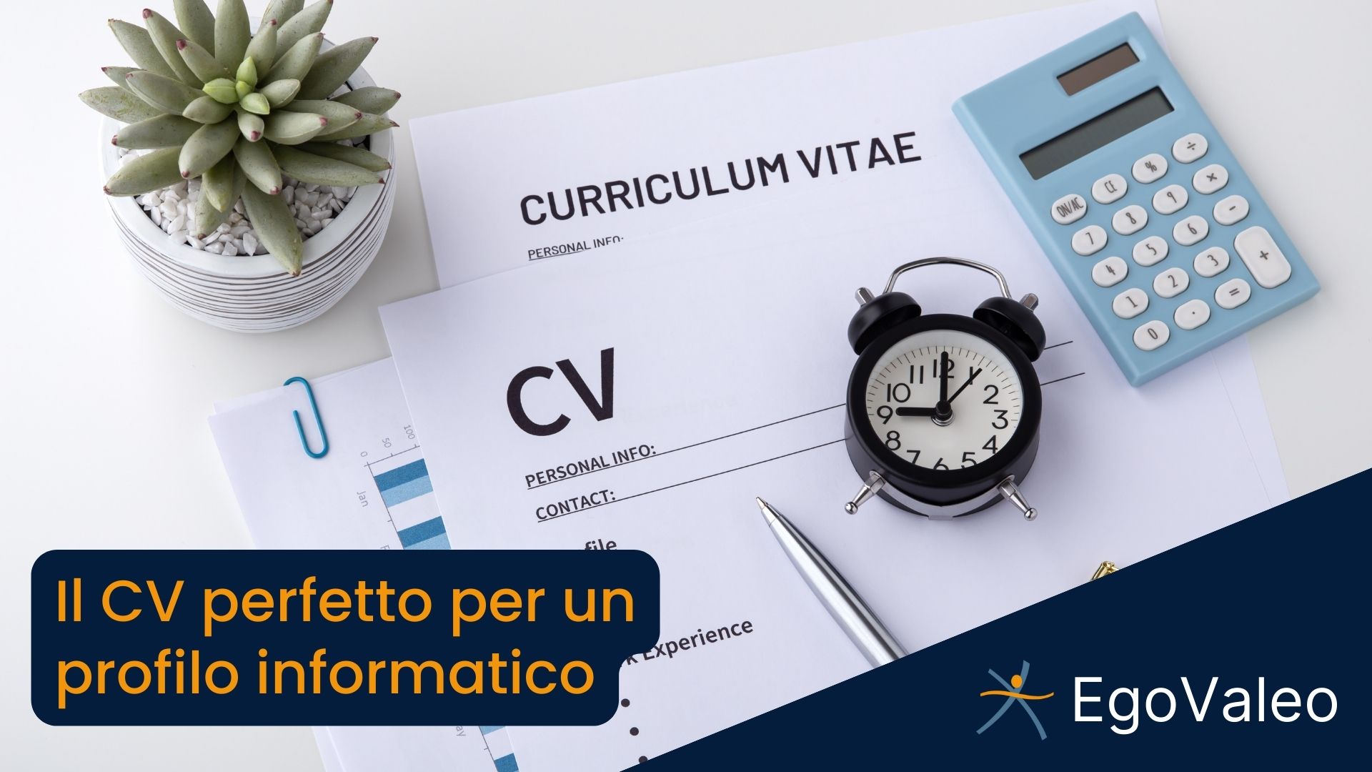 CV perfetto per un informatico