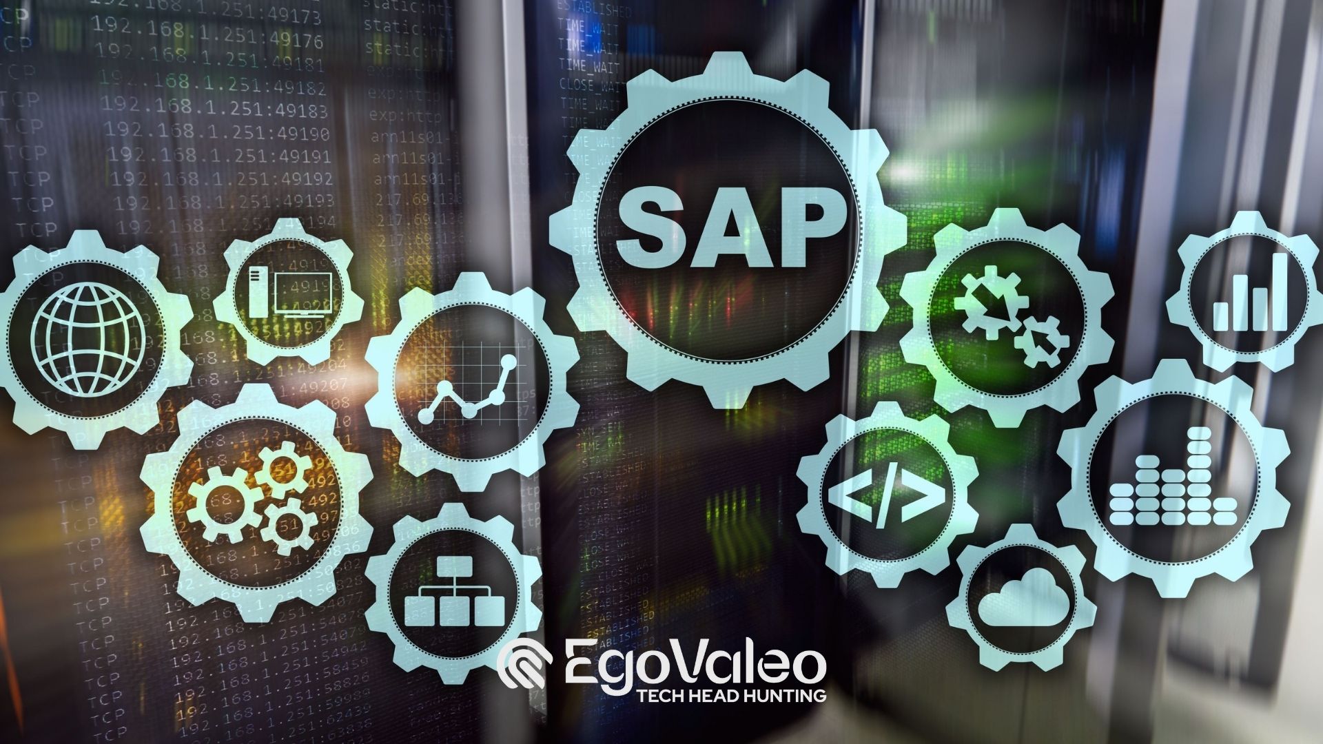 Sap Basis Administrator: ruolo e competenze principali